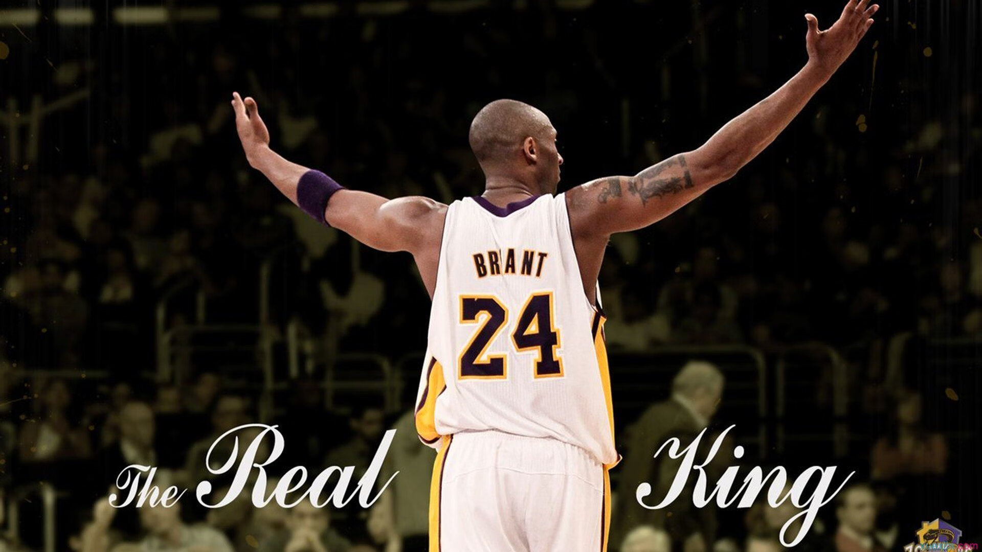 熊猫体育中国App-从质疑到掌声，乔治用实力证明自己，灰熊斩落魔术的战术启示